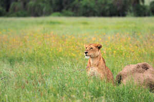 2026 ゴールデンウィークのおすすめツアー特集の画像