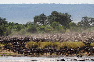 2026 特別企画 アフリカツアー特集の画像