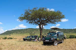 2026 夏のおすすめアフリカツアー特集の画像