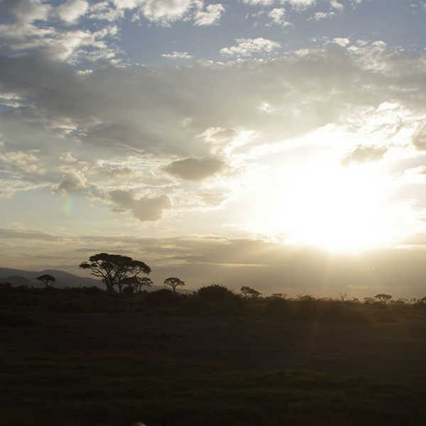 投稿写真／アンボセリ国立公園の夕陽に、「アフリカ」を感じました。