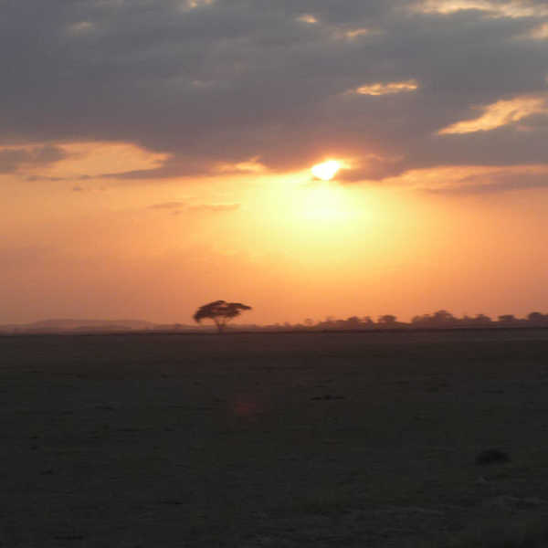投稿写真／ケニヤサバンナの夕日に地球の大きさを感じました!