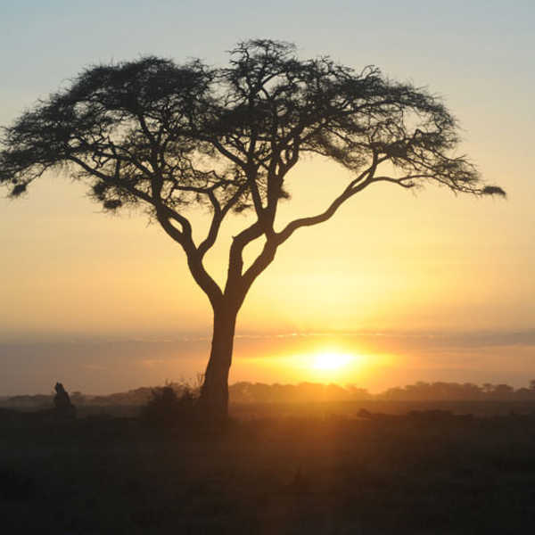 投稿写真／たそがれ男に今一度力を与えてくれたアフリカの夕陽。