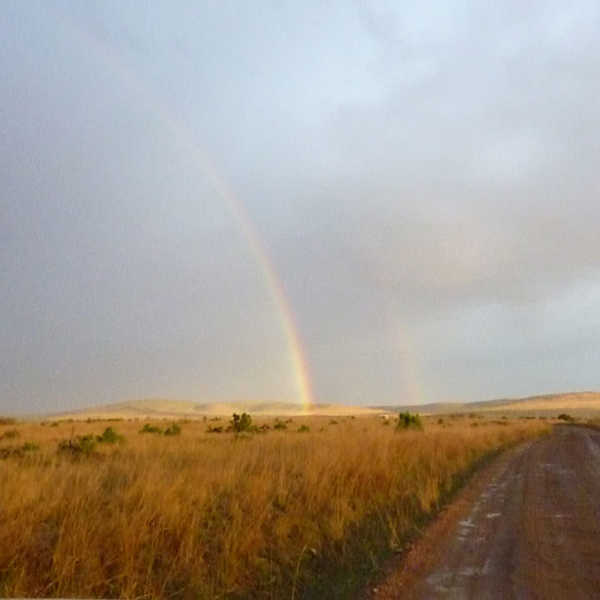 投稿写真／最後のゲームドライブの帰り道、雨上りのサバンナにかかった虹に感激！