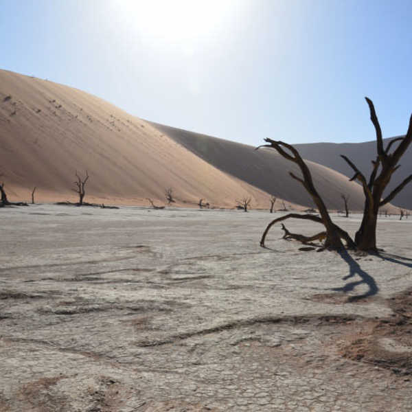 投稿写真／ナミビアは砂漠と星空と太陽が最高でした。