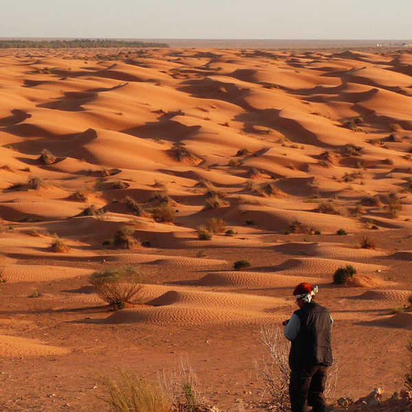 Ruins of Roman-era fort Tisavar Grand Erg Oriental Desert（ローマの遺跡）から見た砂の海／お客様の投稿写真です。