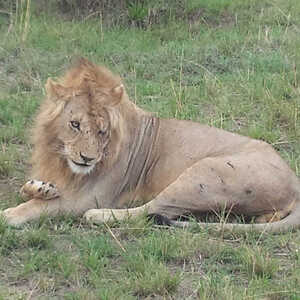 Yumi 様のお写真