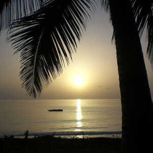 Yumi 様のお写真