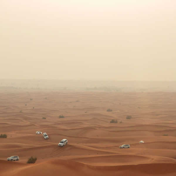 投稿写真／デザート・サファリで訪れたルブ・アル・ハリ砂漠。一面の砂漠の中をトヨタ・ランドクルーザーで走り回ります。自然の大きさを実感しました。