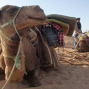 上野 様のお写真