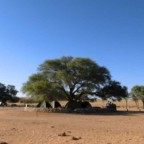 ナミビアのキャンプサイト最高!!!／お客様の投稿写真です。
