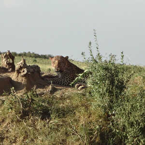 内藤 様のお写真