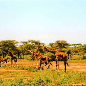 遠藤 様のお写真