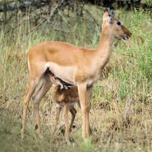 福川 様のお写真