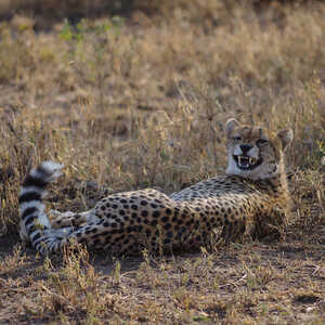 長谷川 様のお写真