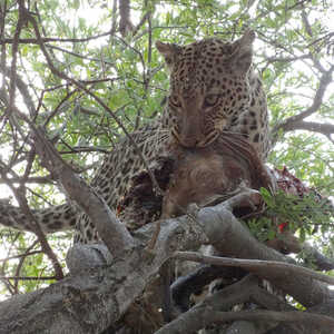岡村 様のお写真