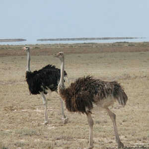上野 様のお写真