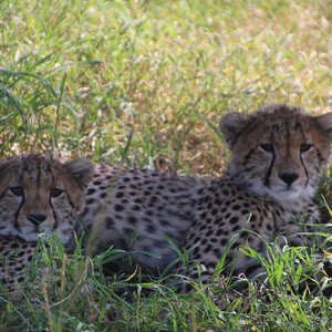 和田 様のお写真