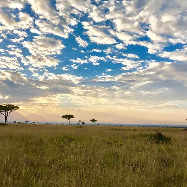 投稿写真／360度見渡せるマサイ・マラの大地