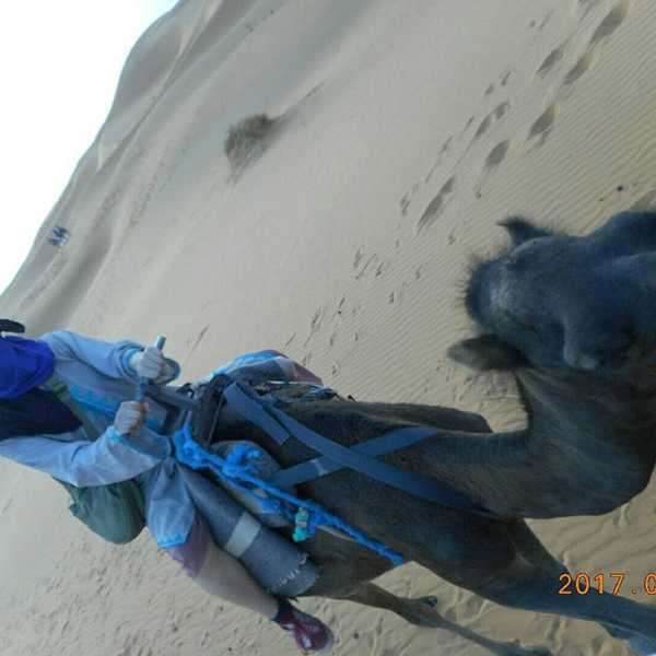 ラクダに跨って砂漠の奥へ／お客様の投稿写真です。