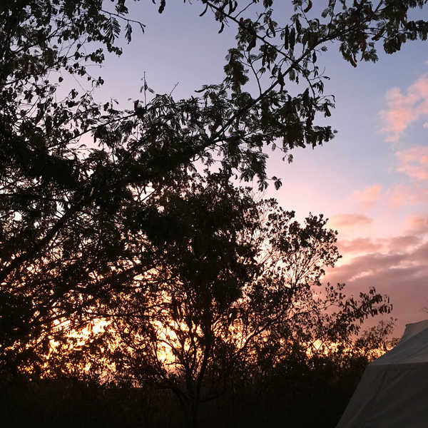 マサイ・マラ キャンプの朝／鳥のさえずりで目覚め、テントからきれいな朝日が見れました。