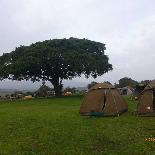 ンゴロンゴロのキャンプサイト／ここでは、夜中テントの間近にバッファローがきたり、シマウマが横切ったりしてかなりテンションが上がりました！シャワーが熱いくらいでしたのでかなり気持ち良かったです！
