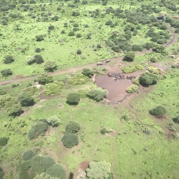 ケニアの車窓から／ナイロビから国内線でロイサバに向かう時、上空から撮影。小さな飛行機の影とともに、ゾウの水浴びの様子を眺めることができました。