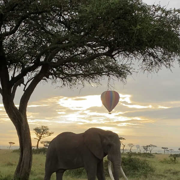 Good morning, Kenya／夜明けと共に出発して見る事が出来た景色です。