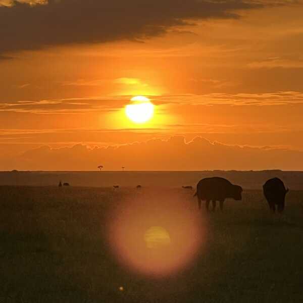 見たかった夕景／一瞬一瞬違う表情を見せてくれるケニアの空。。。
その中でも こんな夕景が見たかった。