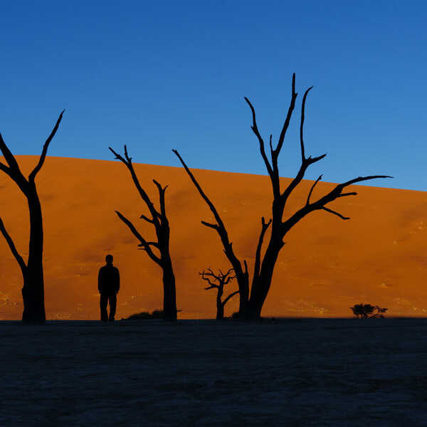 青橙黒／デッドフレイに行ったら、必ず撮りたいと思っていた一枚。この写真が撮れるのは、日の出直後の限られた時間だけでした。