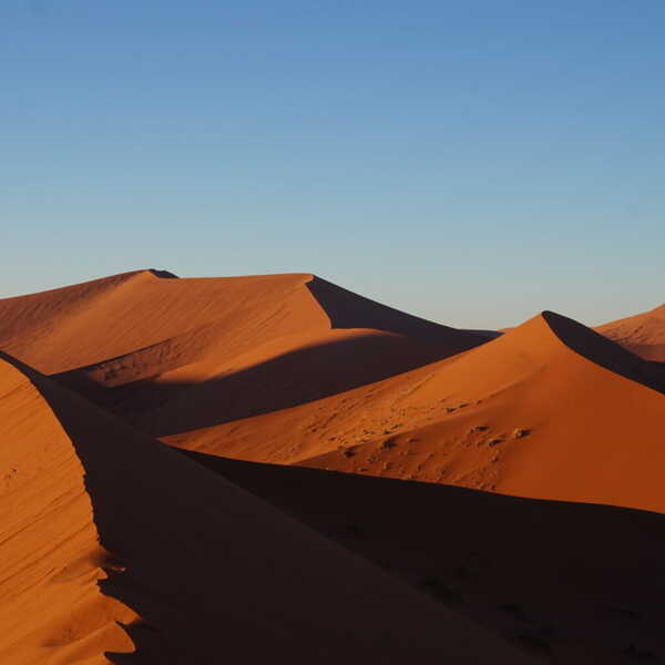 朝焼けのデューン45／日の出前にキャンプ場を出発して、デューン45へ！朝日に染まった砂丘が綺麗でした。