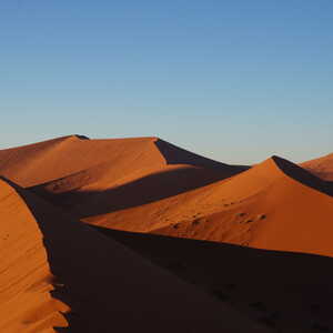 ぞうさん 様のお写真