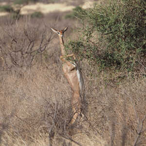 はらぺこあおむし 様のお写真