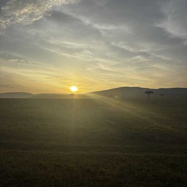 サファリの日の出／今まで見た中で最も美しいと言える景色でした。