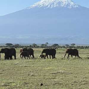 キリ子 様のお写真