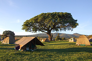 アフリカでキャンプ