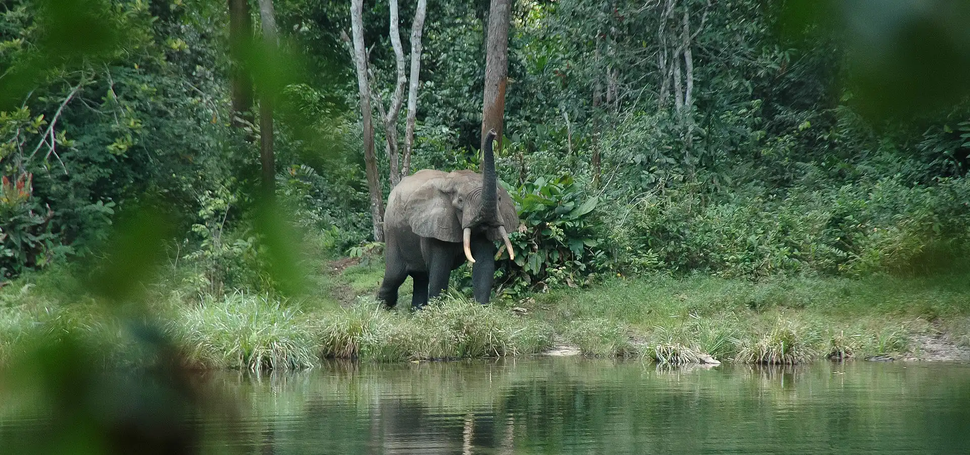 コンゴ共和国の旅行・観光情報 | アフリカ旅行の道祖神