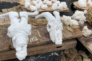 湖畔では塩やミネラルが付着したヤギの頭蓋骨などが売られています