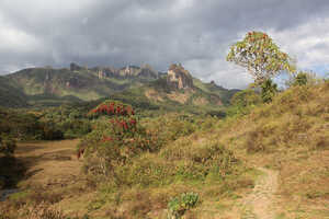 エチオピア第2の規模を持つ森、公園南部ハレナの森