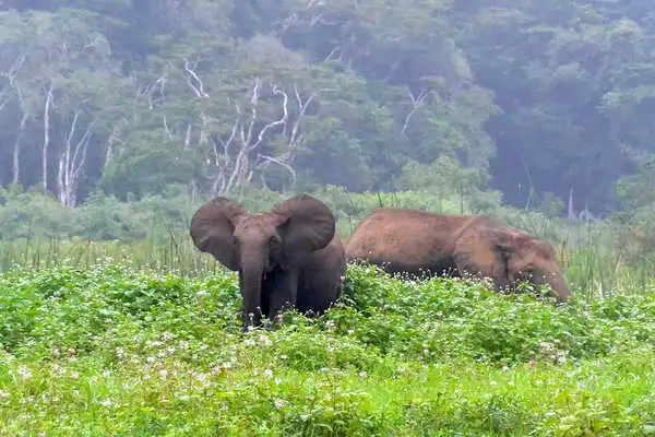 caa4132dd2498571121b6cac6da225