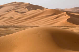 サハラ有数の砂丘群があり、圧倒的な砂量のムルズク砂漠