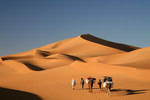 ラクダとともに砂丘の奥への訪問も可能