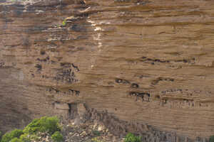 バンディアガラの断崖。今ではオゴンと呼ばれる長老が暮らすか、お墓となっています