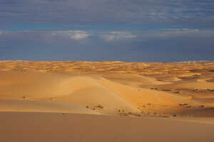 街の郊外にはアルジェリアやマリまで続く砂丘地帯が広がっています