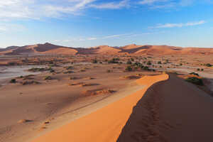 世界最古のナミブ砂漠
