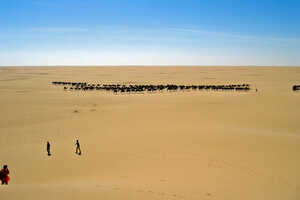 広大な砂漠を数珠繋ぎで歩いてゆくラクダたち