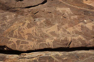 紅海山地の岩山の砂岩に刻まれた数多くの線刻画