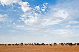 チャド北部のウニアンカへ向かう途中には、砂原と土漠が広がっています