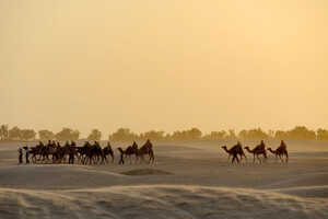 ドゥーズはラクダでの砂漠ツアー拠点の一つです
