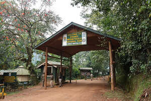 ブウィンディ原生国立公園