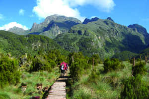 周回ルートのセントラル・サーキット